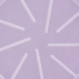 Лепестки шлиф. 33/36мм POLARSTAR SR3 SiC 500шт.