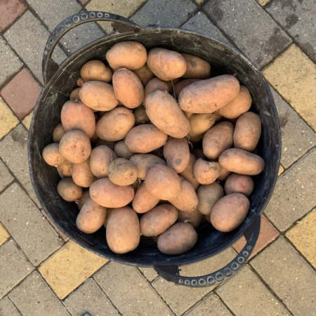 Набор вёдер КАПАС «?Матрешка»?