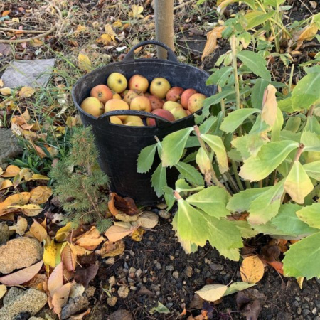 Набор вёдер КАПАС «?Матрешка»?