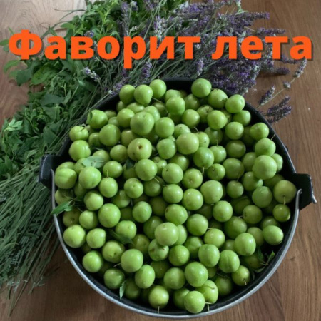 Набор вёдер КАПАС «?Матрешка»?