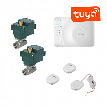 Нептун  Комплект Neptun Smart+ Special Edition 3/4 | Bugatti-868-Tuya 3/4"  14195Б-868-20