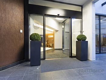 Шелковый эффект стен фасада входной группы