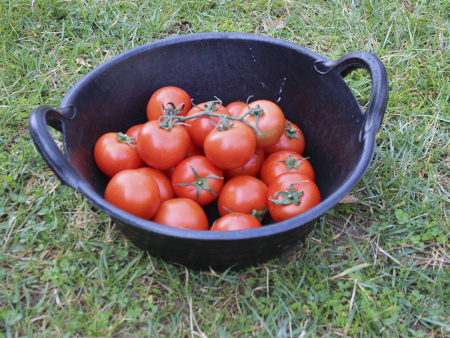 Корзина № 2,5 (20л)