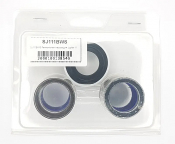 SJ111BWS.1 Ремкомплект насоса для Jupiter 11.1
